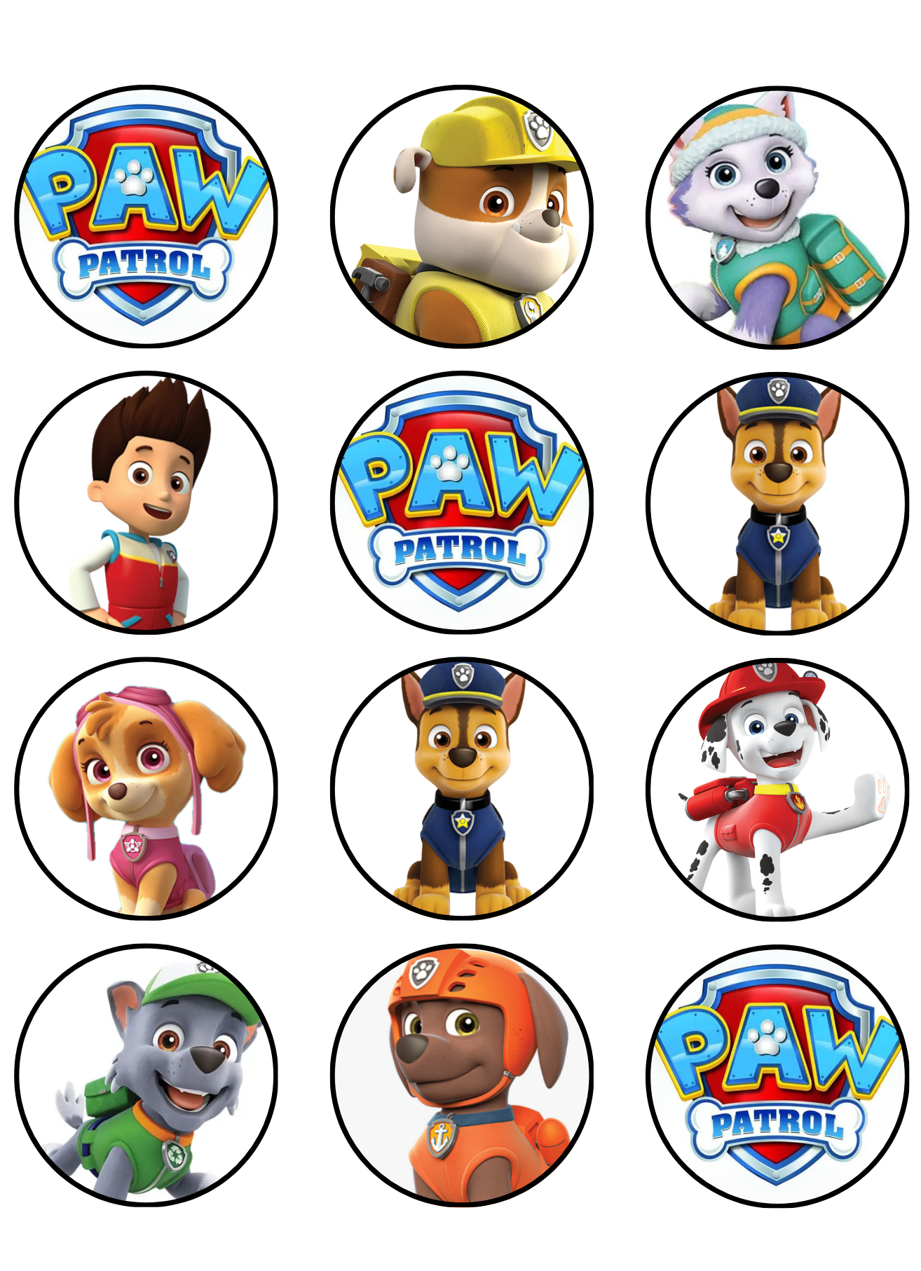 Set of Paw Patrol characters  on a white background